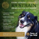 Taste of the Wild High Prairie Dry Dog Food with Bison & Roasted Venison