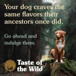 Taste of the Wild High Prairie Dry Dog Food with Bison & Roasted Venison