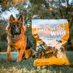 Taste of the Wild High Prairie Dry Dog Food with Bison & Roasted Venison