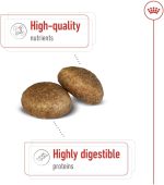 Royal Canin Shn Maxi Adult 1 KgSize Health Nutrition DogFood