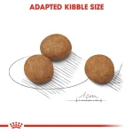 Size Health Nutrition Maxi Puppy Dry Food – Balanced nutrition supporting healthy growth, muscles, bones, and brain development in large breed puppies.