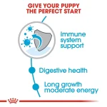 Size Health Nutrition Maxi Puppy Dry Food – Balanced nutrition supporting healthy growth, muscles, bones, and brain development in large breed puppies.