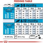 Size Health Nutrition Maxi Puppy Dry Food – Balanced nutrition supporting healthy growth, muscles, bones, and brain development in large breed puppies.