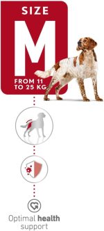 Royal Canin Medium Adult Dry Dog Food – Tailored nutrition for medium breed adult dogs, supporting immunity, digestion, and skin and coat health.