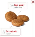 Royal Canin Medium Adult Dry Dog Food – Tailored nutrition for medium breed adult dogs, supporting immunity, digestion, and skin and coat health.