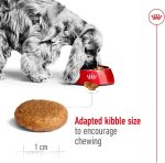 Royal Canin Medium Adult Dry Dog Food – Tailored nutrition for medium breed adult dogs, supporting immunity, digestion, and skin and coat health.