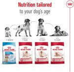 Royal Canin Medium Adult Dry Dog Food – Tailored nutrition for medium breed adult dogs, supporting immunity, digestion, and skin and coat health.