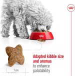 Royal Canin Size Health Nutrition Mini Adult Dog Dry Food