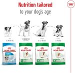 Royal Canin Size Health Nutrition Mini Adult Dog Dry Food