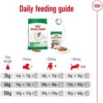 Royal Canin Size Health Nutrition Mini Adult Dog Dry Food