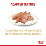 Royal Canin Wet Dog Food for Adult Pomeranians (8+ Months) 12 x 85 gr