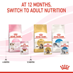 Feline Health Nutrition Kitten Gravy (Wet Food - Pouches) 12 x 85 g