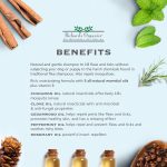 Richard’s Organics Flea & Tick Dog Shampoo – 354 ml Synergy Labs