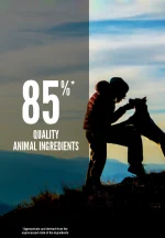 Orijen Original Dog Dry food