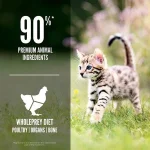 Orijen Kitten Dry Food 1.8kg | Grain-Free High-Protein Cat Food