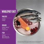 Orijen Kitten Dry Food 1.8kg | Grain-Free High-Protein Cat Food