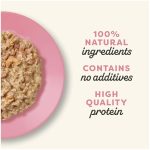 Applaws Natural Wet Cat Food with Tuna Fillet & Prawns in Broth 70 gr