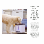 Aclium Cordless Dog Water Fountain – Quiet & Filtered