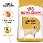 Royal Canin Dry Dog Food for Adult Labrador Retrievers (15+ Months) 3 kg