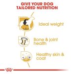 Royal Canin Dry Dog Food for Adult Labrador Retrievers (15+ Months) 3 kg