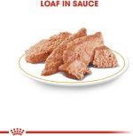 Royal Canin BHN Dachshund Adult Wet Food Pouches Box of 12x85g Breed Health Nutrition Dog Food