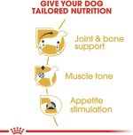 Royal Canin BHN Dachshund Adult Wet Food Pouches Box of 12x85g Breed Health Nutrition Dog Food