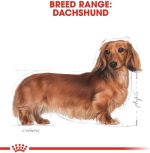 Royal Canin BHN Dachshund Adult Wet Food Pouches Box of 12x85g Breed Health Nutrition Dog Food