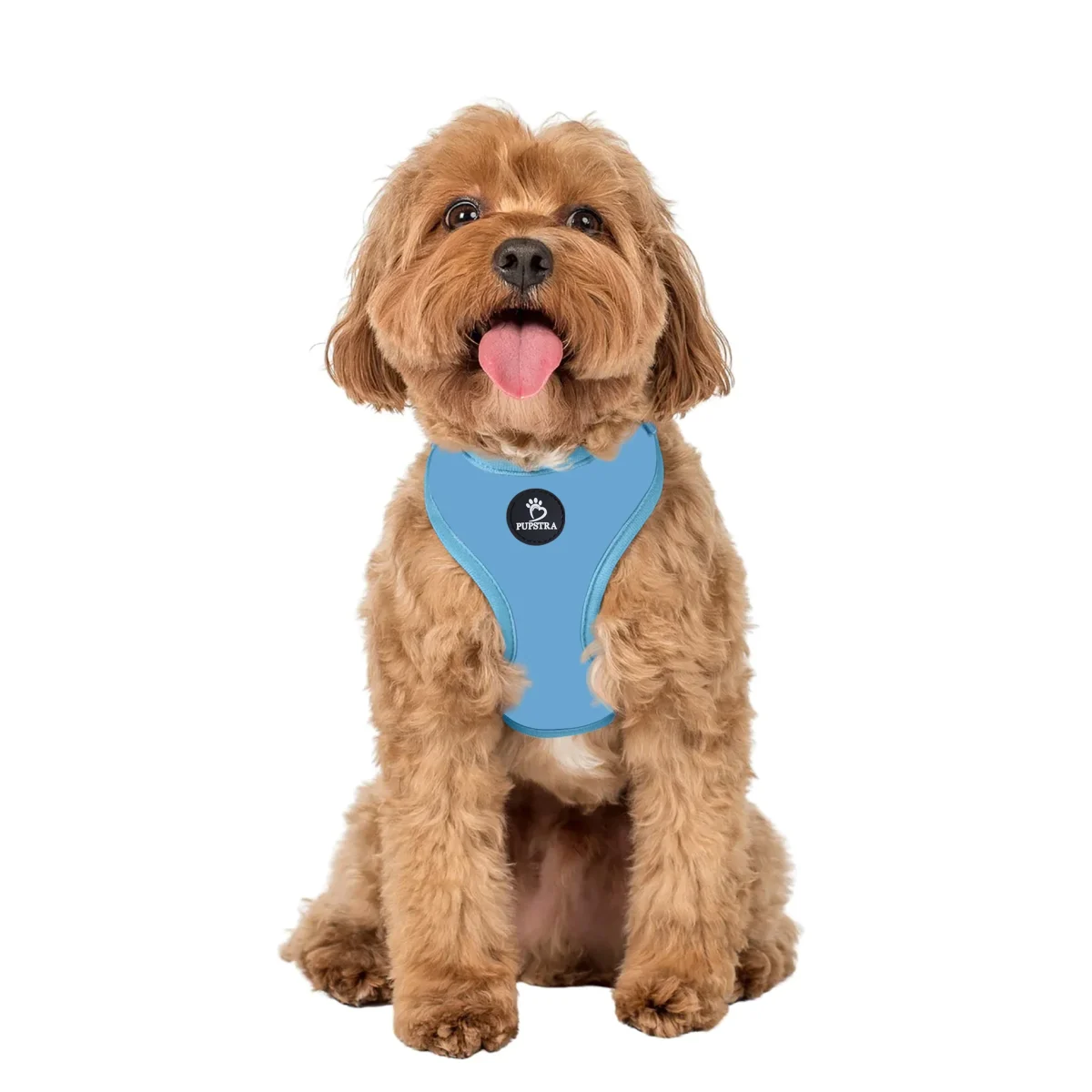 Pupstra XS Dog Harness Baby Blue for small dogs