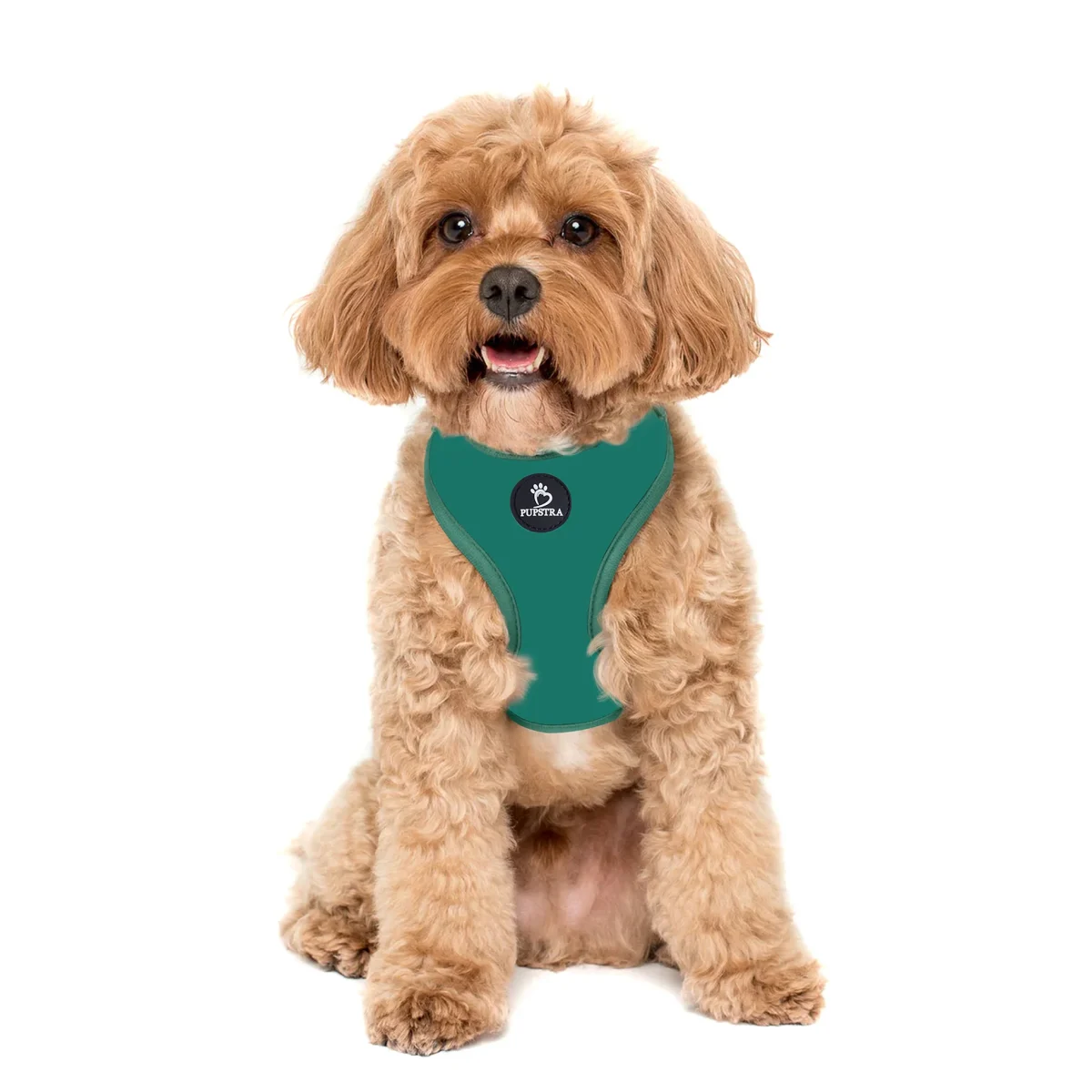 Pupstra Adjustable Harness XS Green for small dogs