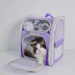 jelly bag for cat