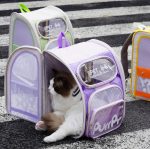 jelly bag for cat