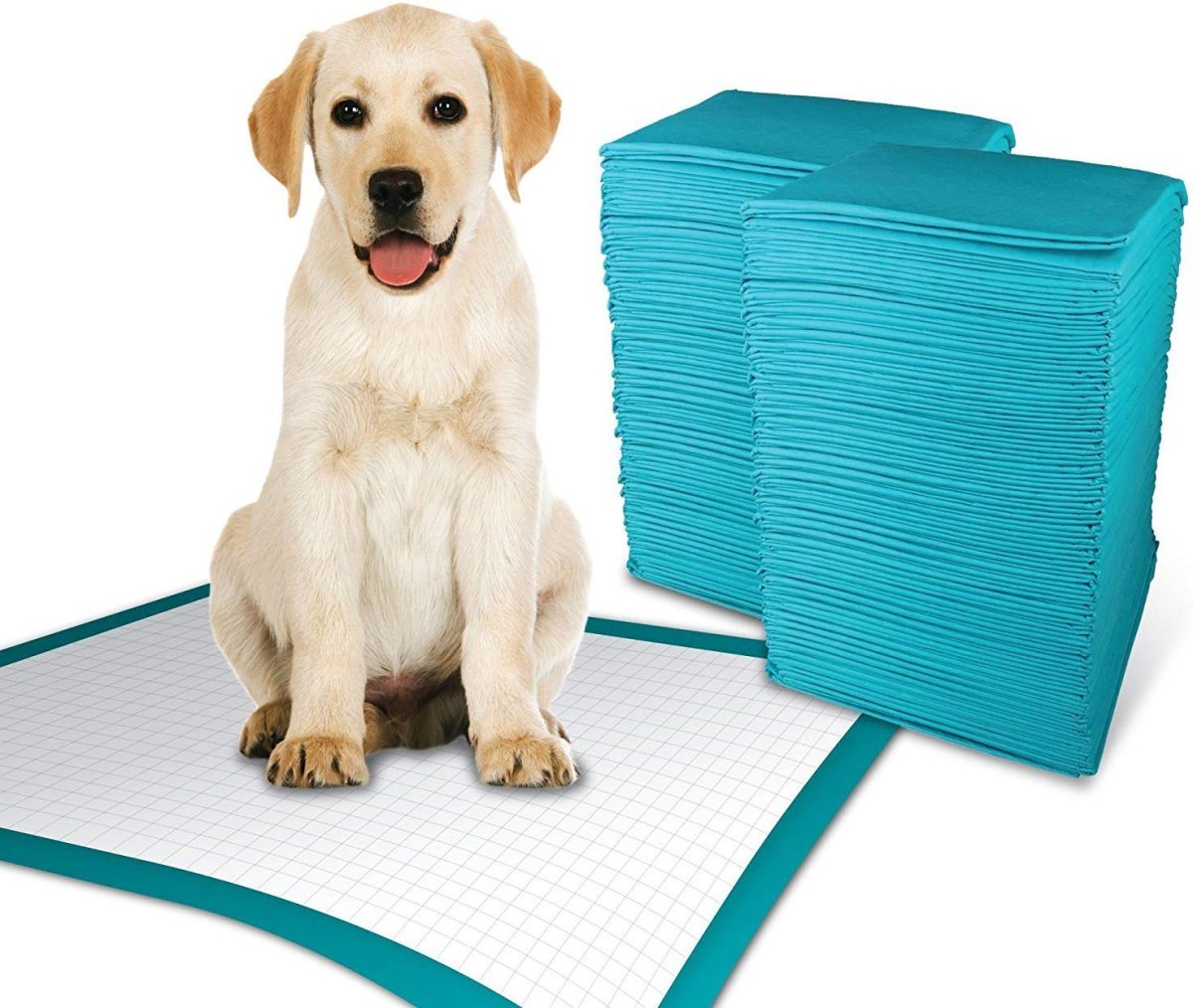 Simple Solution Premium Dog and Puppy Training Pads – Pack of 30, 23x24 inches, 6-layer absorbent pads for effective house training.