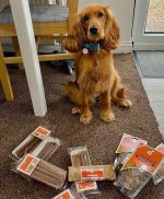 Pure Chicken Sticks 50g – Natural Grain-Free Dog Treats