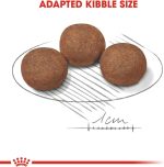 Royal Canin Medium Puppy Dry Dog Food 4kg – Complete nutrition for medium breed puppies, supporting growth, immunity, digestion, and healthy development.