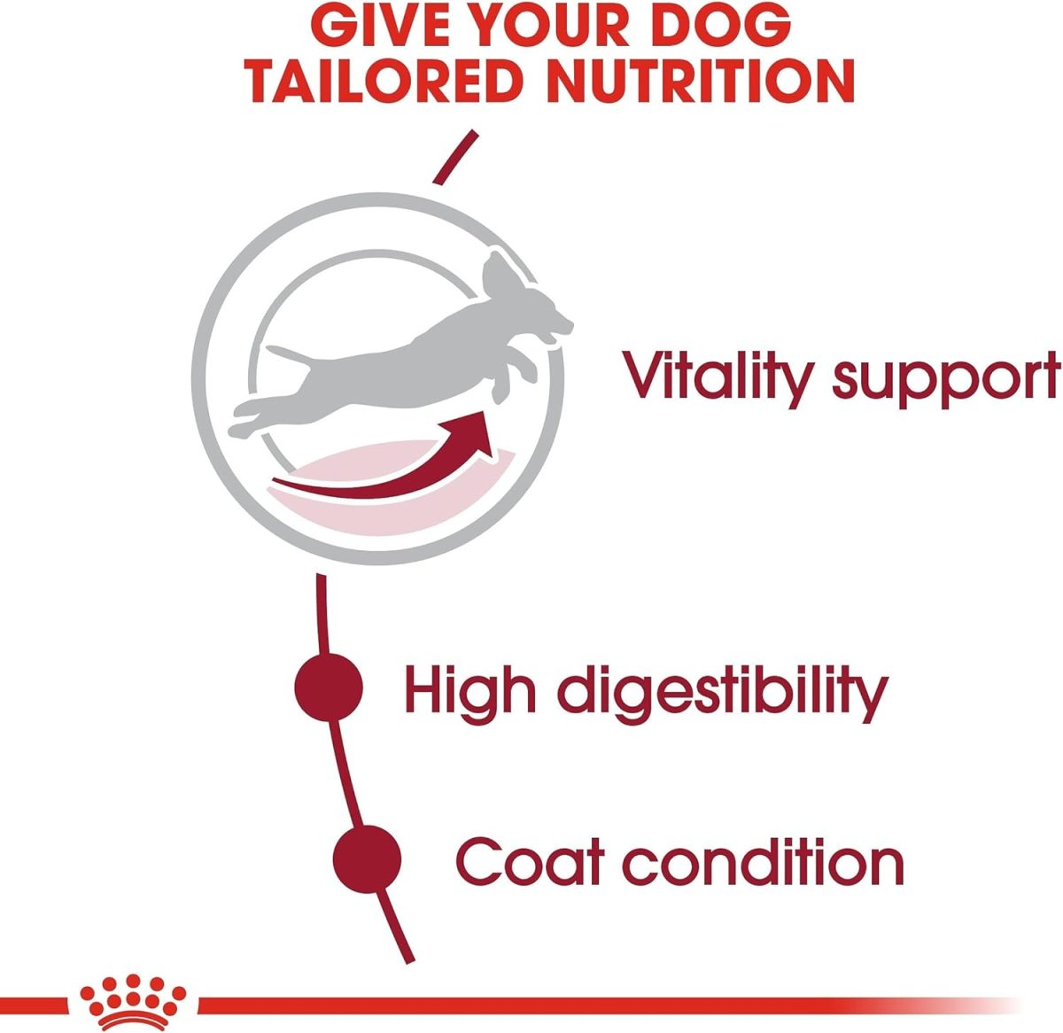 Royal Canin Medium Adult 7+ Dog Food 10kg