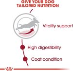 Royal Canin Medium Adult 7+ Dog Food 10kg