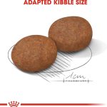 Royal Canin Medium Adult 7+ Dog Food 10kg