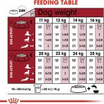 Royal Canin Medium Adult 7+ Dog Food 10kg