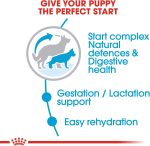 Size Health Nutrition Maxi Starter Puppy Food – Balanced nutrition for large breed puppies supporting bone, muscle, and immune health.