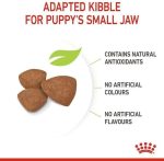 Royal Canin Mini Puppy Food 800g – Premium nutrition for small breed puppies.