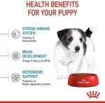 Royal Canin Mini Puppy Food 800g – Premium nutrition for small breed puppies.