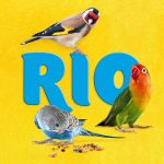 RIO Daily Food for Parakeets 3kg