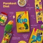RIO Daily Food for Parakeets 3kg