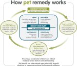 Pet Remedy Calming Spray 200 ml bottle for pet stress relief