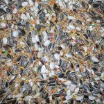 Parakeet Budget Mix 20Kg affordable bird food with seeds and grains