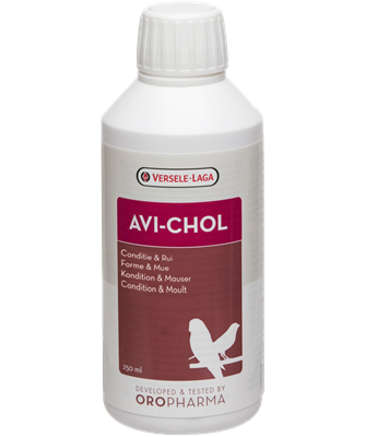 Versele-Laga Avi-Chol bottle, liver support supplement for birds, Avi-Chol detox for parrots and finches