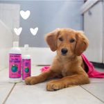 Puppy T Less Shampoo Baby Cherry 16oz bottle with fresh cherry scent for puppies