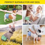 Dono Non-Slip Male Dog Wraps