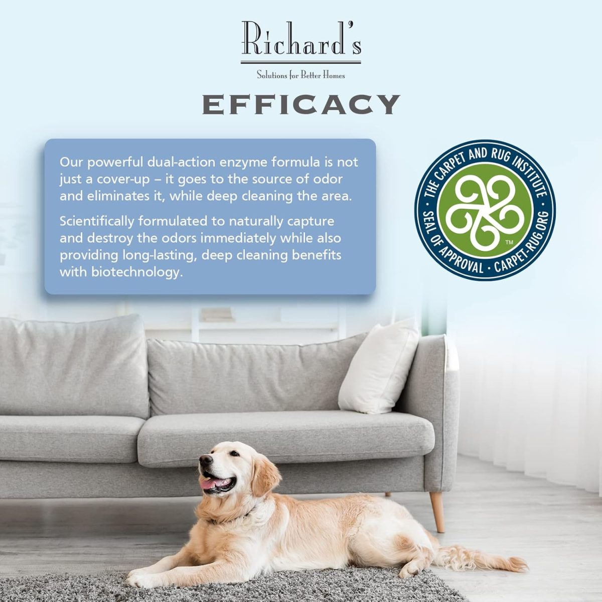 Synergy Labs Richard's Organics Carpet & Upholstery Stain Remover 946ml – Natural Enzyme Cleaner