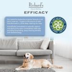Synergy Labs Richard's Organics Carpet & Upholstery Stain Remover 946ml – Natural Enzyme Cleaner